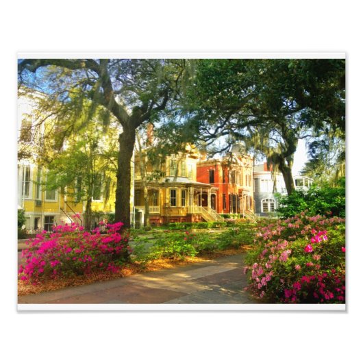 Whitaker Street im März Fotodruck (Vorne)