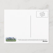 Whitby Abbey Postkarte (Rückseite)