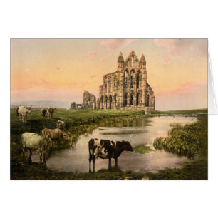 Whitby Abtei III, Whitby, Yorkshire, England