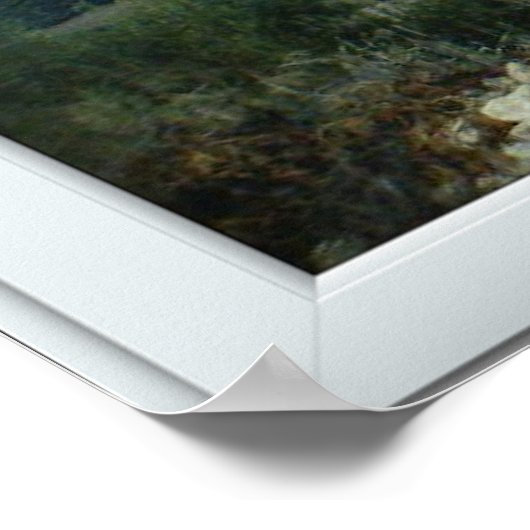 White 3 Pane Window Illusion Country and Mountains Poster (Ecke)