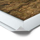 White 3 Pane Window Illusion Country Autumn Poster (Ecke)