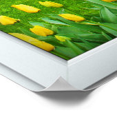 White 3 Pane Window Illusion Spring Garden Poster (Ecke)