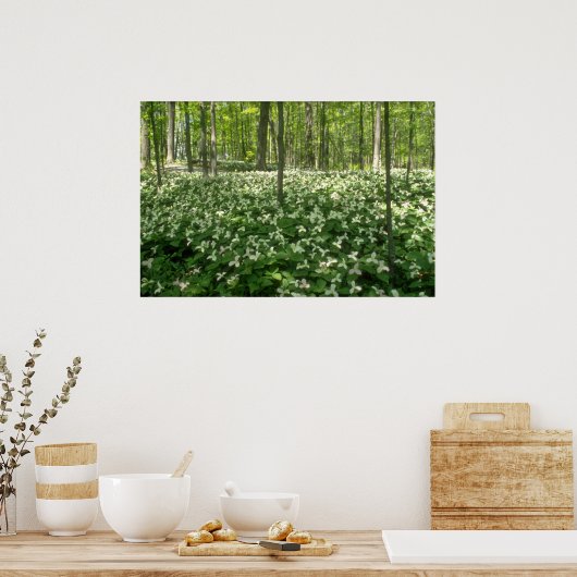 White A field of trilliums, Niagara Falls Blume Poster (Küche)