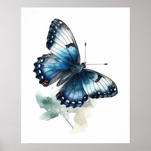 White Admiral Butterfly Art Print Poster (Vorne)