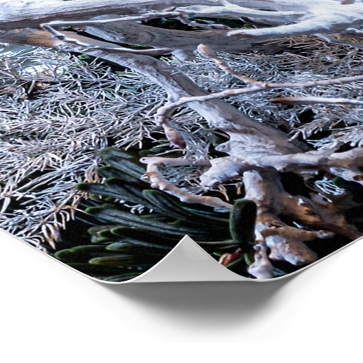 White Advent Kreath Poster (Ecke)