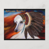 White Afghan Hound Postkarte (Vorderseite)