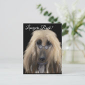 White Afghan Hound Postkarte (Stehend Vorderseite)