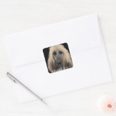 White Afghan Hound Quadratischer Aufkleber (Umschlag)