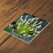 White Agapanthus Buds Floral Fliese