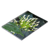 White Agapanthus Buds Floral Notizblock (Linke Seite)