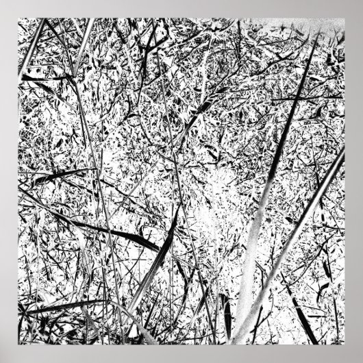 White Alien Grass Poster (Vorne)