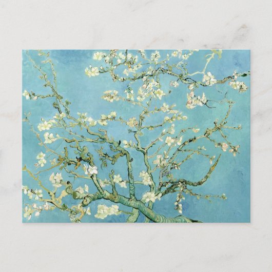 White almond blossom by Vincent Van Gogh Postkarte (Vorderseite)