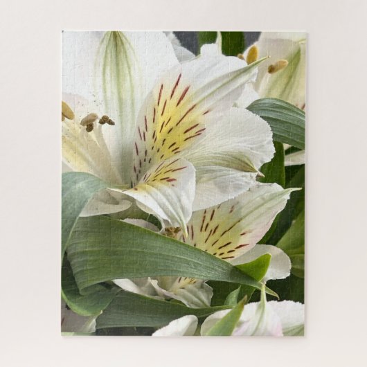 White Alstroemeria Flowers Close-Up Photograph Puzzle (Vertikal)
