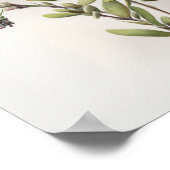 White Alyssum Blume Art Print Poster (Ecke)