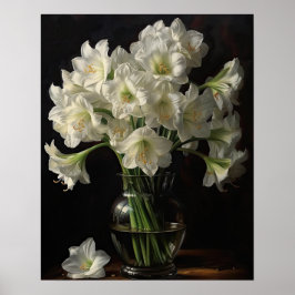 White Amaryllis Blume Art Print Poster