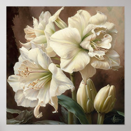 White Amaryllis Blume Art Print Poster