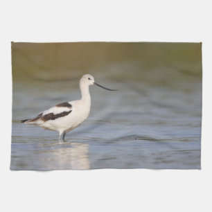 White American Avocet Geschirrtuch