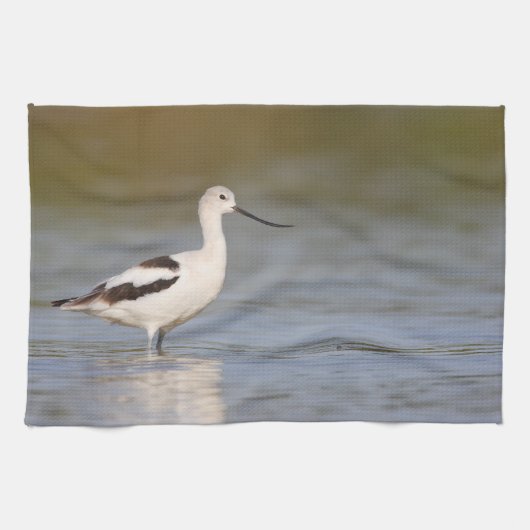 White American Avocet Geschirrtuch (Horizontal)