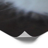 White American Curl Kitten Poster (Ecke)