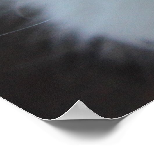 White American Curl Kitten Poster (Ecke)