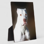 White American Pitbull Terrier Rescue Dog Fotoplatte (Seite)