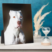 White American Pitbull Terrier Rescue Dog Fotoplatte (Seite)