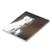 White American Pitbull Terrier Rescue Dog Notizblock (Rotiert)