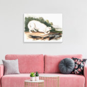 White American Wolf von John James Audubon Leinwanddruck (Insitu (Wohnzimmer))