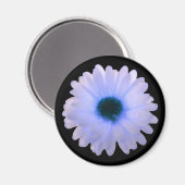 White and Blue Marigold Magnet (Vorderseite/Rückseite)