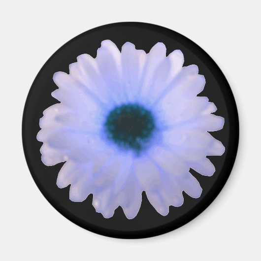 White and Blue Marigold Magnet (Vorne)