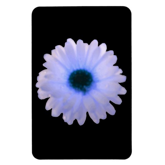 White and Blue Marigold Premium Magnet (Vertikal)