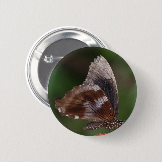 White and Brown Butterfly on Red Blume Button (Vorne & Hinten)