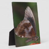 White and Brown Butterfly on Red Blume Fotoplatte (Seite)