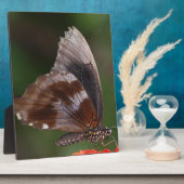 White and Brown Butterfly on Red Blume Fotoplatte (Seite)