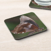 White and Brown Butterfly on Red Blume Getränkeuntersetzer (Linke Seite)