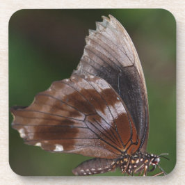 White and Brown Butterfly on Red Blume Getränkeuntersetzer