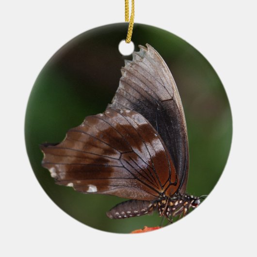 White and Brown Butterfly on Red Blume Keramik Ornament (Vorne)