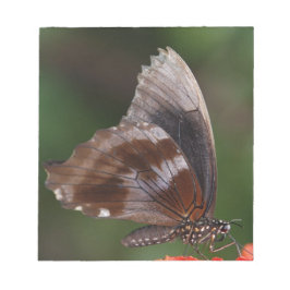 White and Brown Butterfly on Red Blume Notizblock