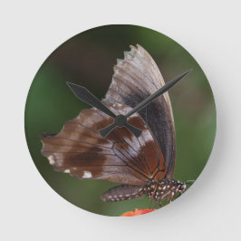 White and Brown Butterfly on Red Blume Runde Wanduhr