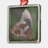 White and Brown Butterfly on Red Blume Silbernes Ornament (Links)