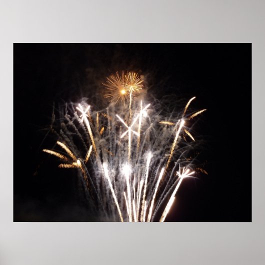 White and Gold Fireworks II Patriotic Celebration Poster (Vorne)