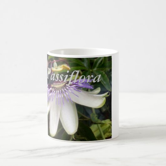 White and Mauve Passion Blume Kaffeetasse (Mittel)