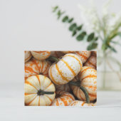 White and Orange Mini Pumpkins Postkarte (Stehend Vorderseite)