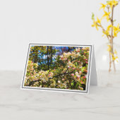 White and Pink Crabapple Tree Blossoms Karte (Gelbe Blume)