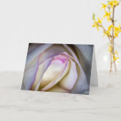 White and Pink Rose with Dew Karte (Gelbe Blume)