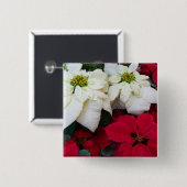 White and Red Poinsettias II Weihnachtsfeiertage Button (Vorne & Hinten)