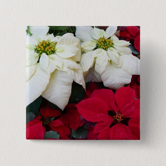 White and Red Poinsettias II Weihnachtsfeiertage Button (Vorderseite)