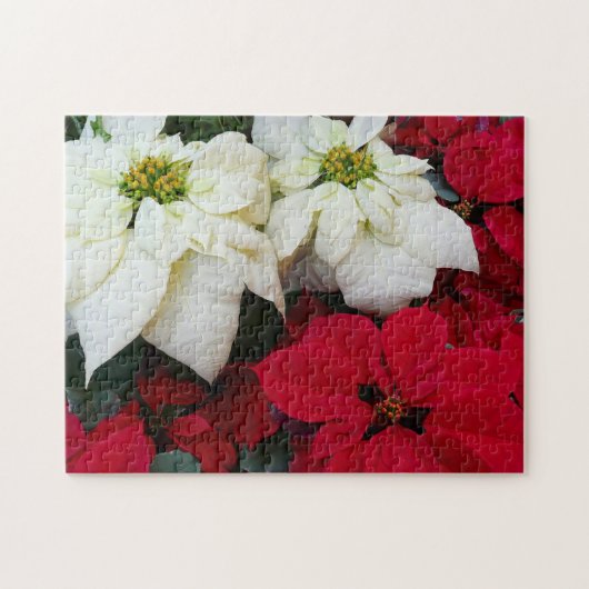 White and Red Poinsettias II Weihnachtsfeiertage Puzzle (Horizontal)