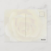 White and Yellow Rose Postcard Postkarte (Rückseite)