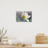 White Anemone Poster (Küche)